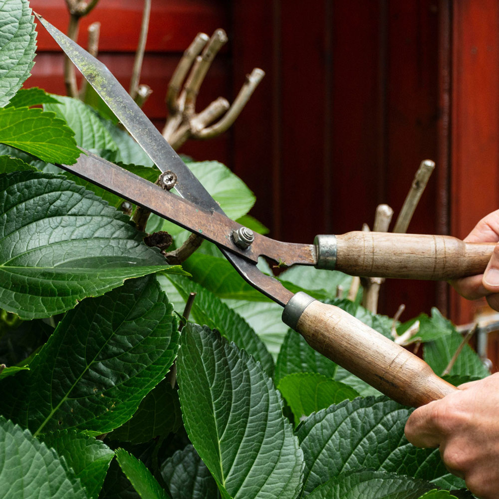 Garden Tools >10" Garden Tools >10"